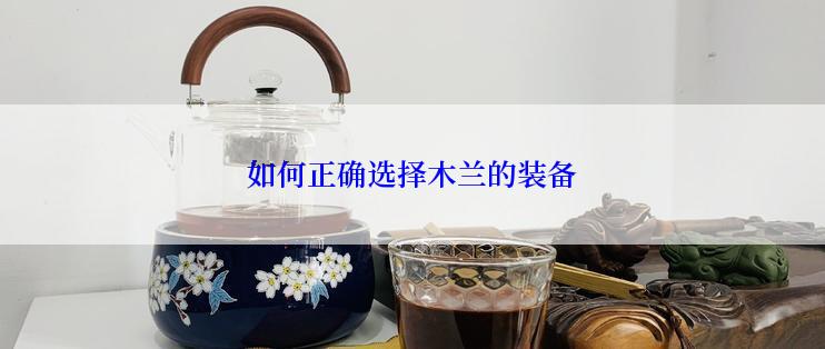 如何正确选择木兰的装备