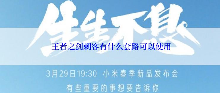  王者之剑刺客有什么套路可以使用