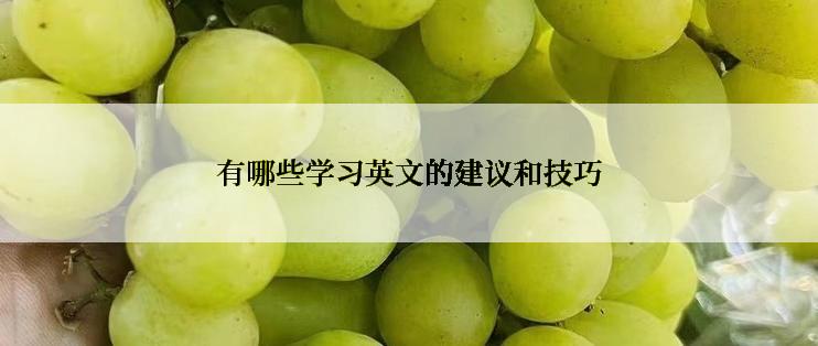 有哪些学习英文的建议和技巧