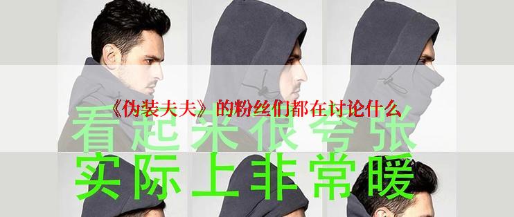 《伪装夫夫》的粉丝们都在讨论什么