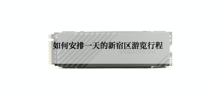 如何安排一天的新宿区游览行程