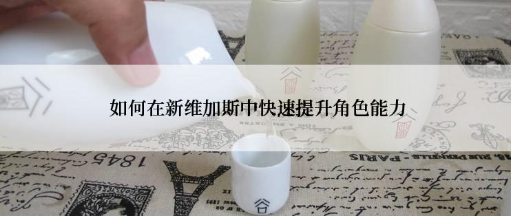  如何在新维加斯中快速提升角色能力