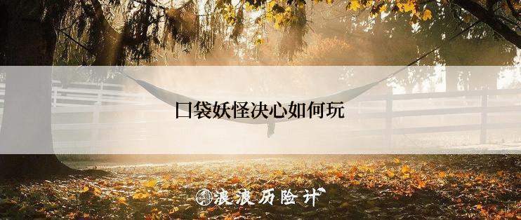 囗袋妖怪决心如何玩