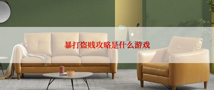 暴打盗贱攻略是什么游戏