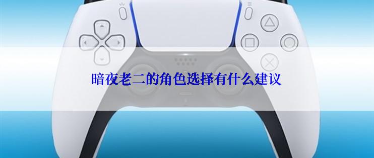 暗夜老二的角色选择有什么建议
