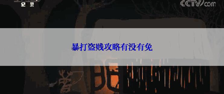 暴打盗贱攻略有没有免