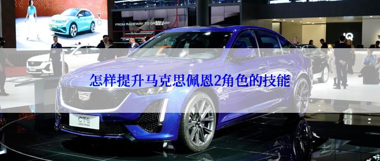 怎样提升马克思佩恩2角色的技能