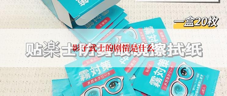 影子武士的剧情是什么