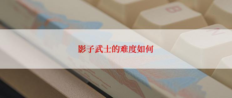 影子武士的难度如何