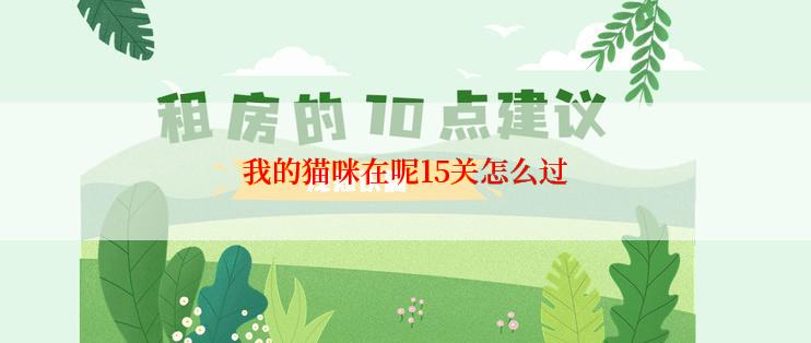 我的猫咪在呢15关怎么过