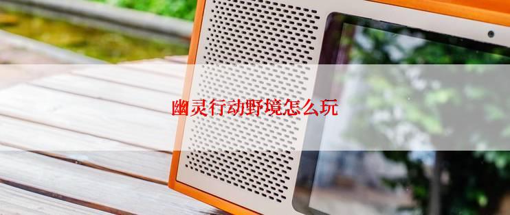 幽灵行动野境怎么玩