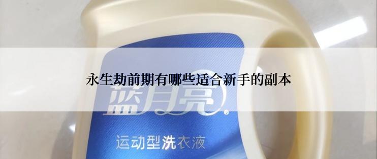 永生劫前期有哪些适合新手的副本