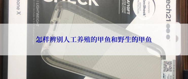 怎样辨别人工养殖的甲鱼和野生的甲鱼