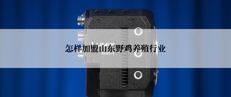 怎样加盟山东野鸡养殖行业