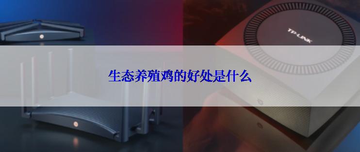 生态养殖鸡的好处是什么