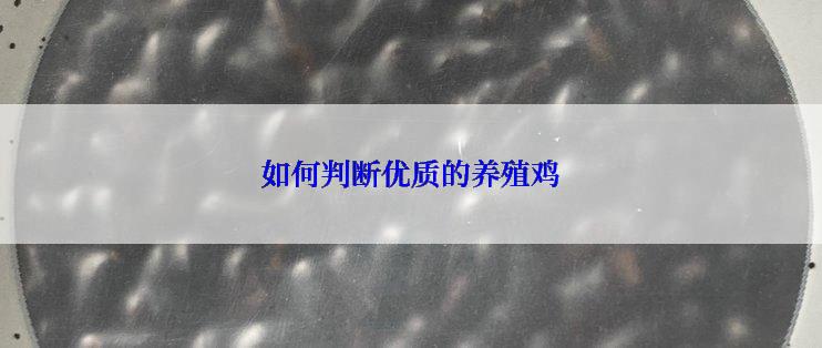 如何判断优质的养殖鸡