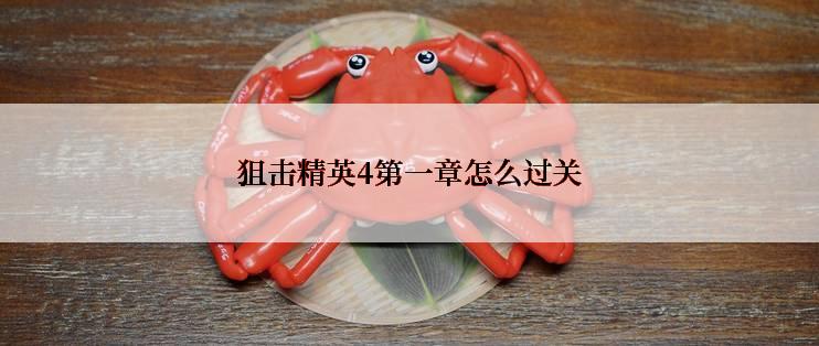 狙击精英4第一章怎么过关