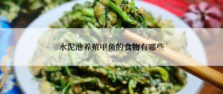 水泥池养殖甲鱼的食物有哪些