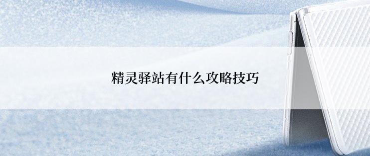 精灵驿站有什么攻略技巧