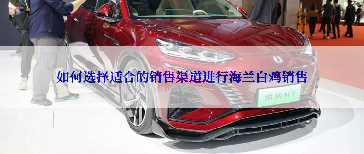 如何选择适合的销售渠道进行海兰白鸡销售