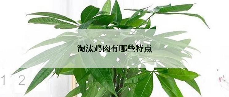 淘汰鸡肉有哪些特点