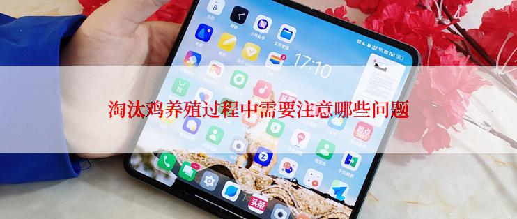 淘汰鸡养殖过程中需要注意哪些问题