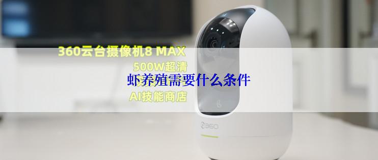 虾养殖需要什么条件