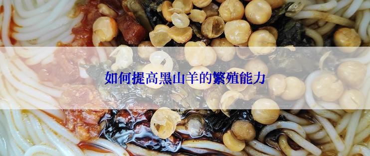 如何提高黑山羊的繁殖能力