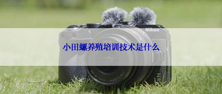 小田螺养殖培训技术是什么