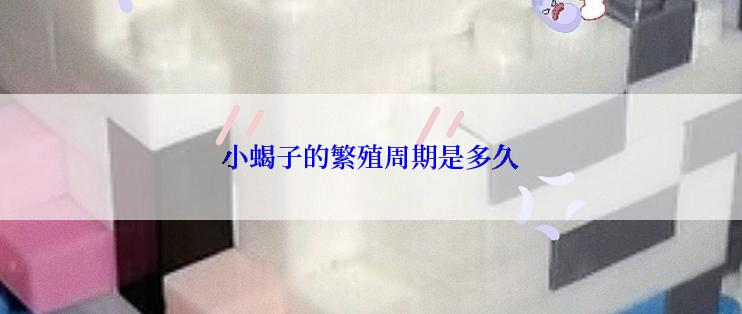 小蝎子的繁殖周期是多久