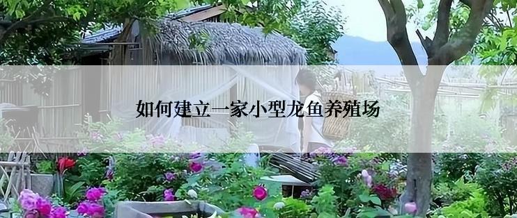 如何建立一家小型龙鱼养殖场