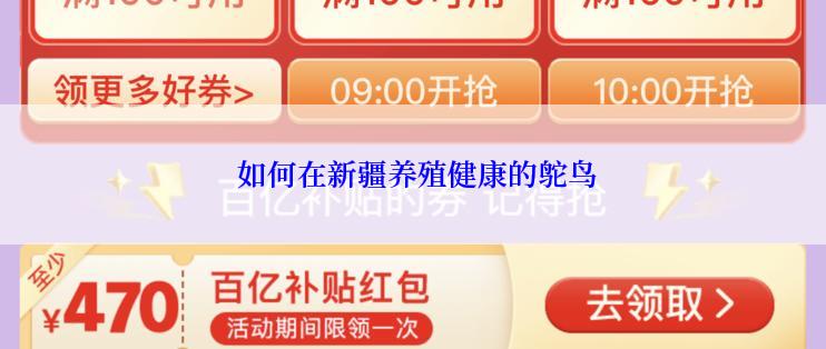  如何在新疆养殖健康的鸵鸟