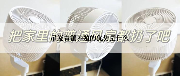 吊笼青蟹养殖的优势是什么