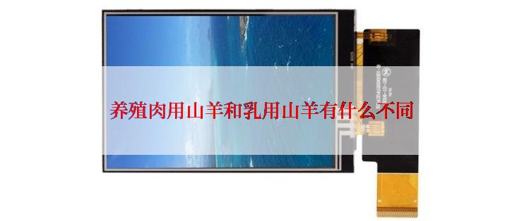 养殖肉用山羊和乳用山羊有什么不同