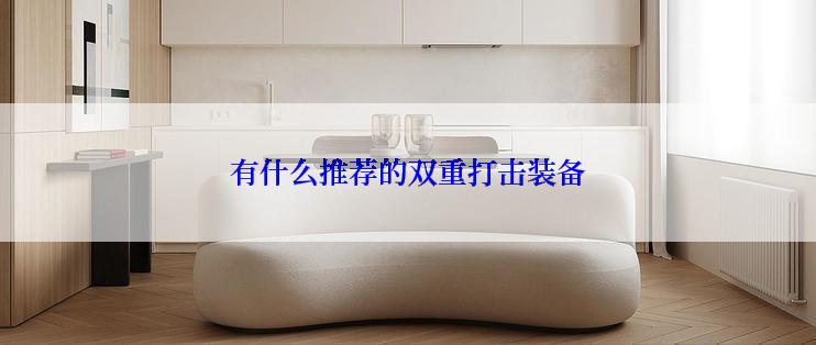 有什么推荐的双重打击装备
