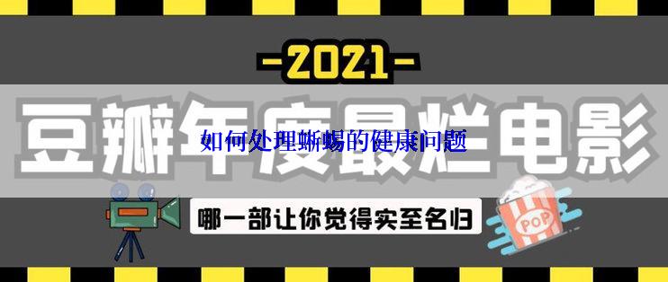 如何处理蜥蜴的健康问题