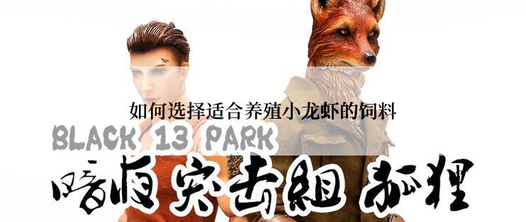 如何选择适合养殖小龙虾的饲料