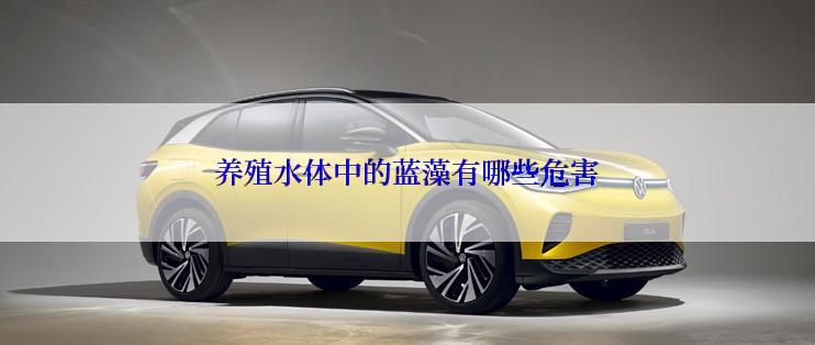 养殖水体中的蓝藻有哪些危害