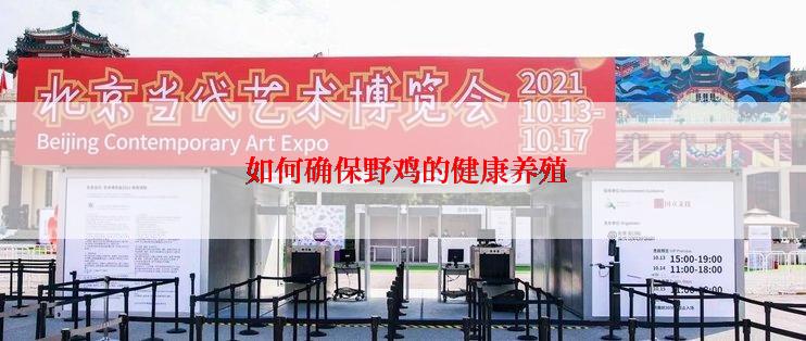  如何确保野鸡的健康养殖