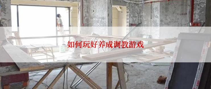 如何玩好养成调教游戏