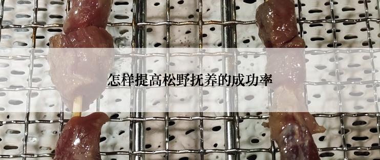 怎样提高松野抚养的成功率