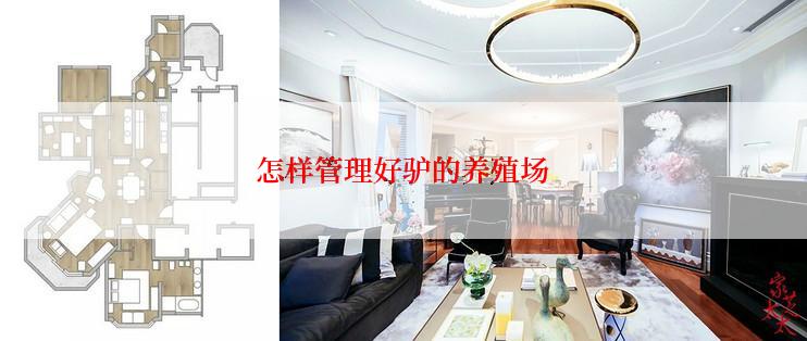 怎样管理好驴的养殖场