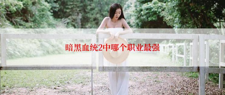 暗黑血统2中哪个职业最强