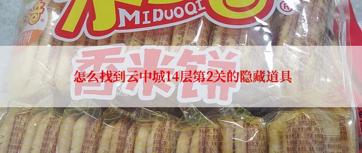  怎么找到云中城14层第2关的隐藏道具