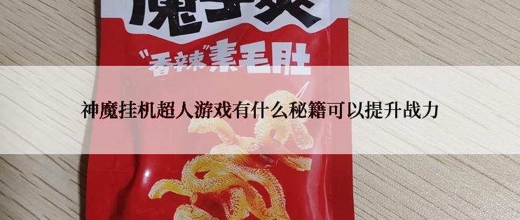 神魔挂机超人游戏有什么秘籍可以提升战力