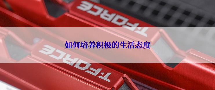 如何培养积极的生活态度