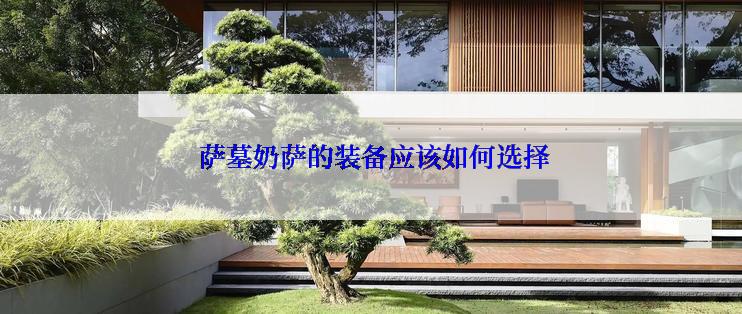  萨墓奶萨的装备应该如何选择
