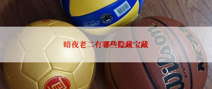 暗夜老二有哪些隐藏宝藏