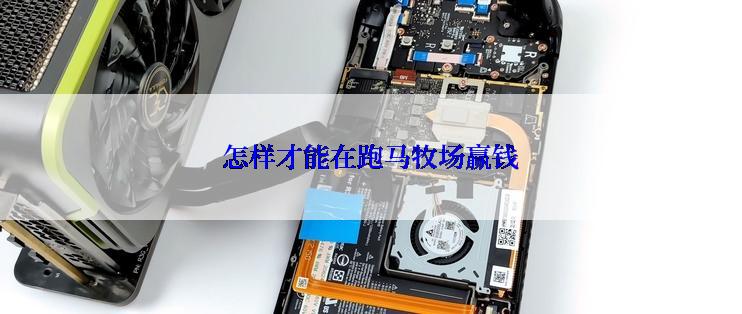 怎样才能在跑马牧场赢钱