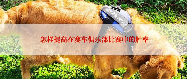  怎样提高在赛车俱乐部比赛中的胜率